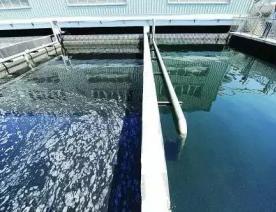 深度净化污水 